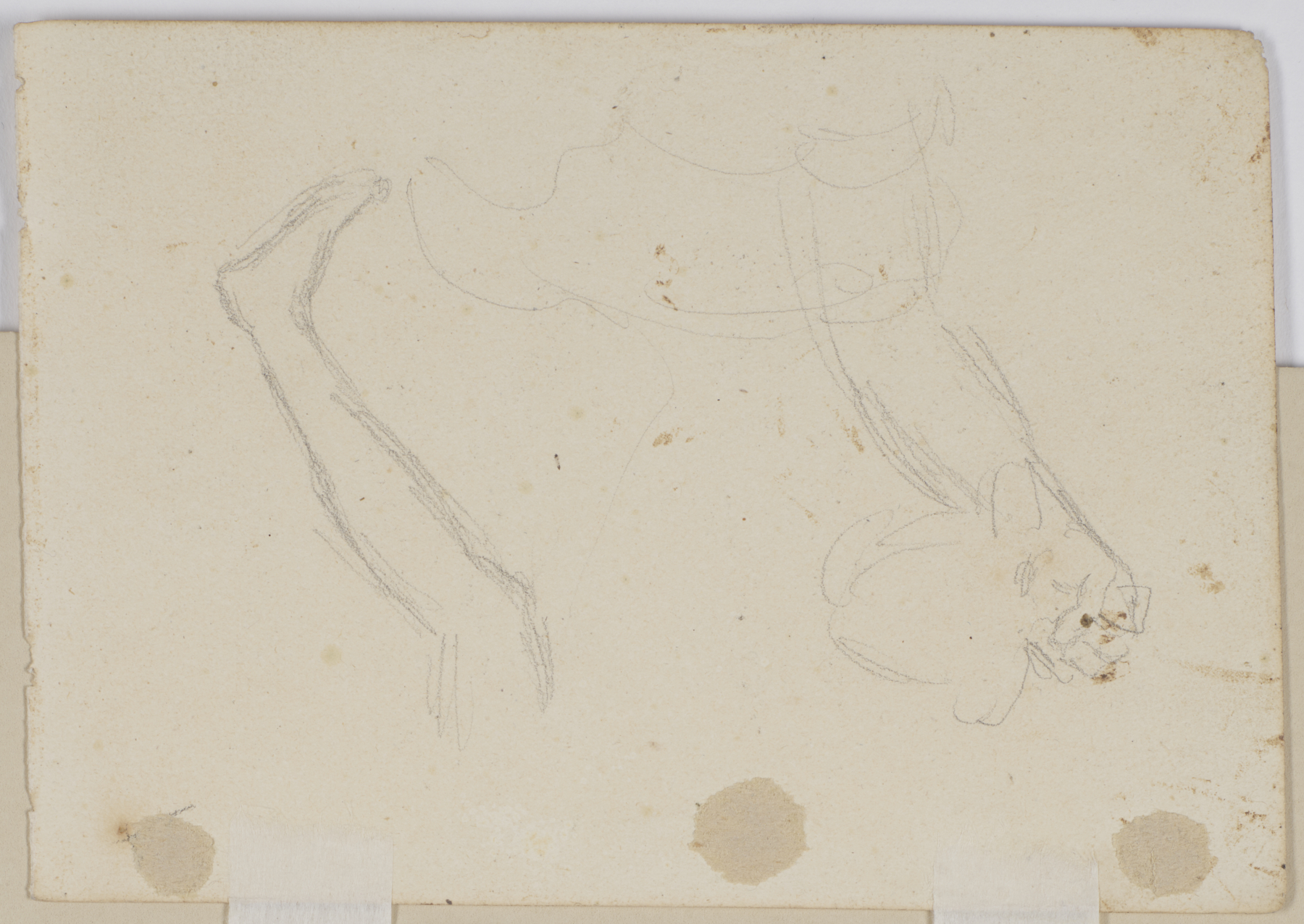 Image for Sketch of a Stag Hunt and Seated Deer